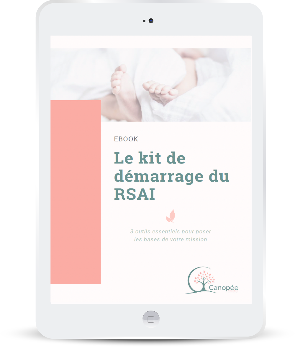 Couverture de l'ebook Le kit de démarrage du RSAI